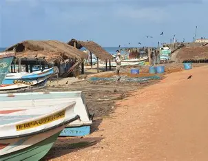 Cultural performances